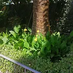 Edificio Salou Beach, La Pineda, Vilaseca アパート *