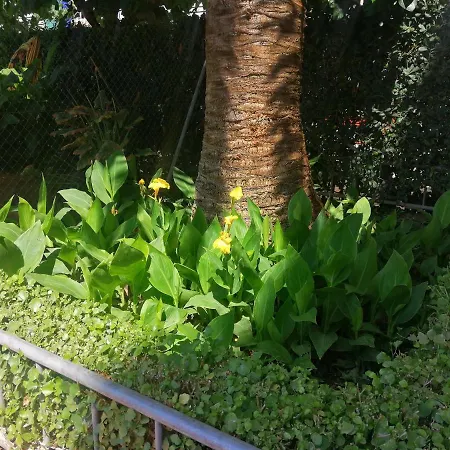 Edificio Salou Beach, La Pineda, Vilaseca Apartman *